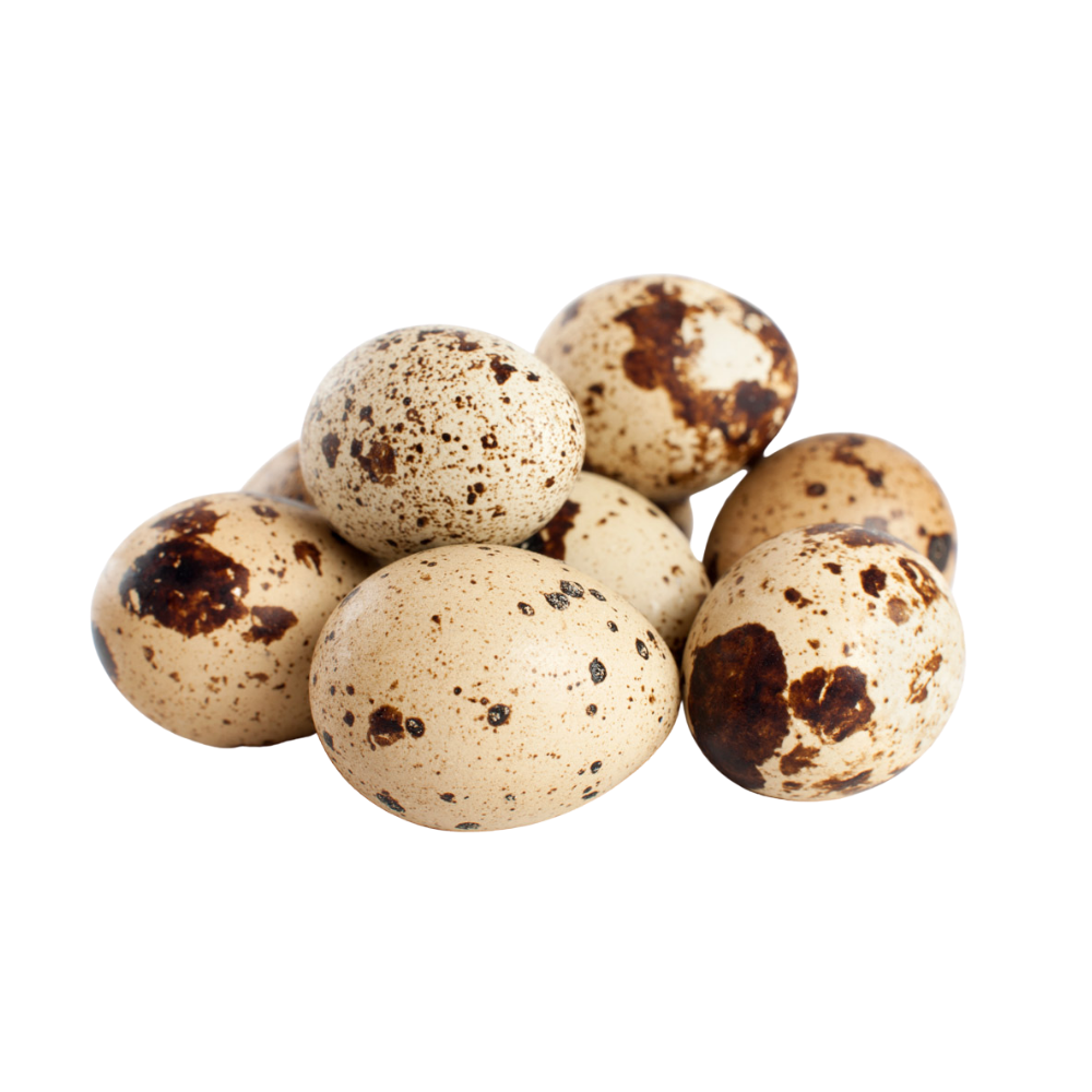 Quail Eggs