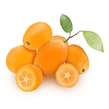 Kumquat 300g(Pack)