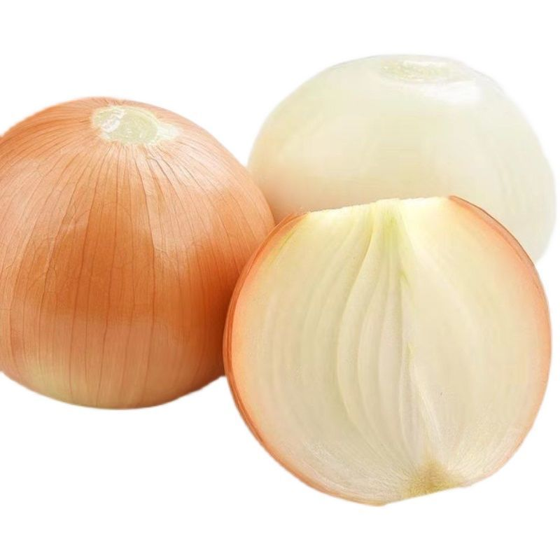 Onion (Each)