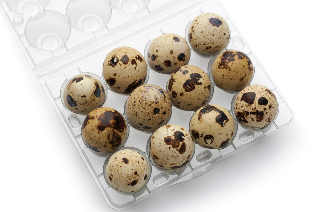 Quail Egg