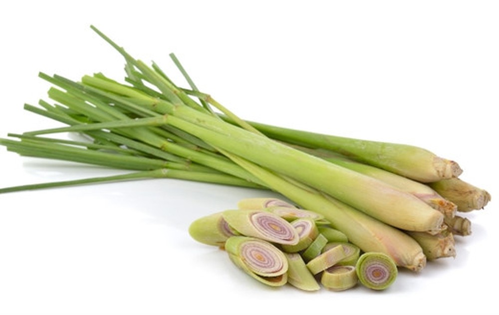 Lemon Grass (Per Pack)