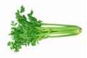 Chinese Celery (Per kg)