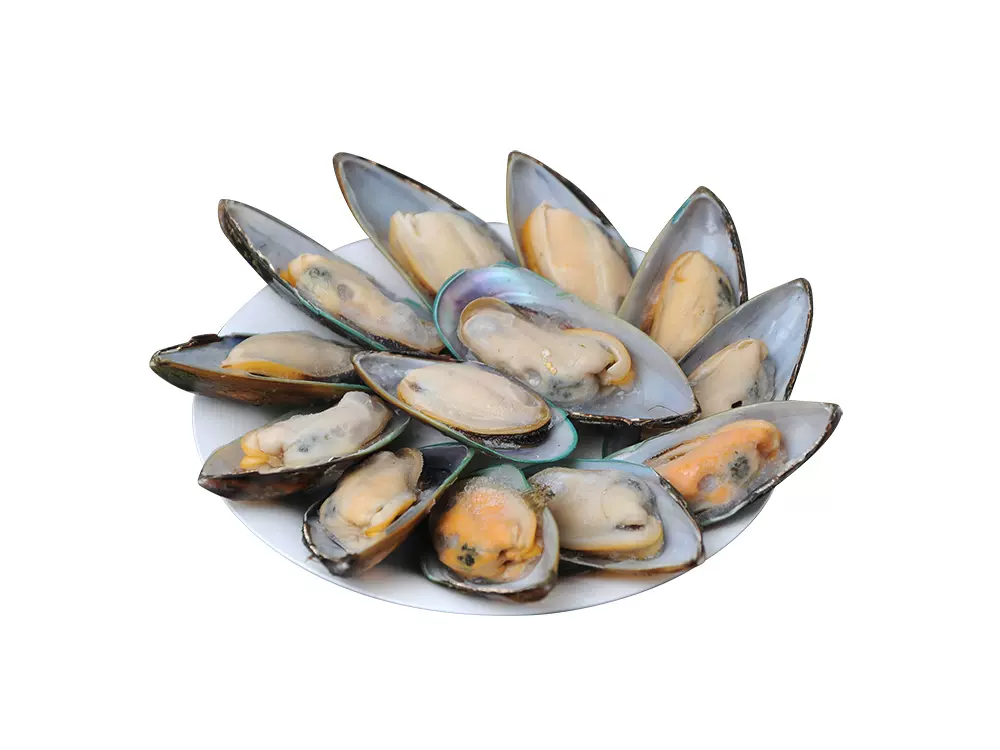 KONO Mussels in The Half Shell 800g