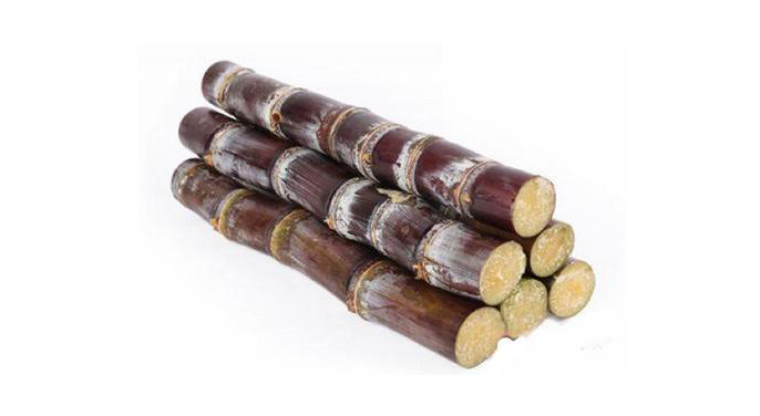 Fresh Sugar Cane(Each)