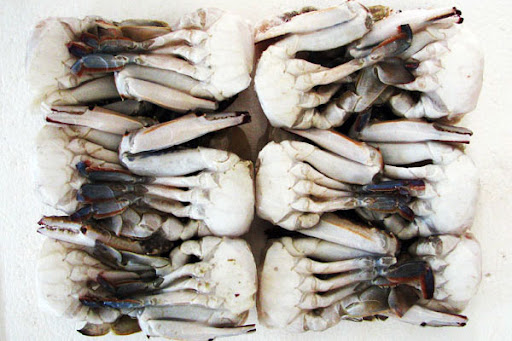 Frozen 11/15 Cut Crab 1kg